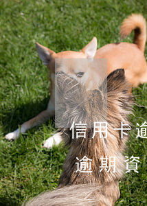 信用卡逾期資產(chǎn)保全6(信用卡逾期資產(chǎn)保全短信發(fā)給我朋友了)
