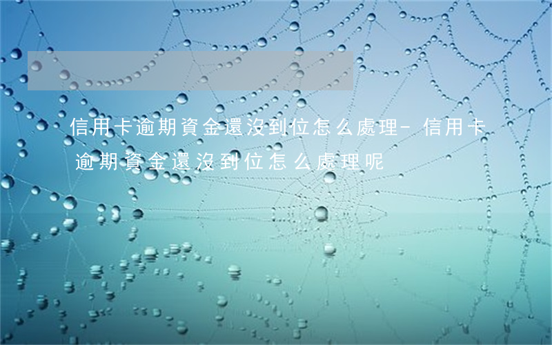 信用卡逾期資金還沒到位怎么處理-信用卡逾期資金還沒到位怎么處理呢