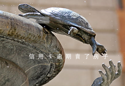 信用卡逾期賣了房子