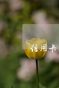 信用卡逾期賣房可以解押嗎