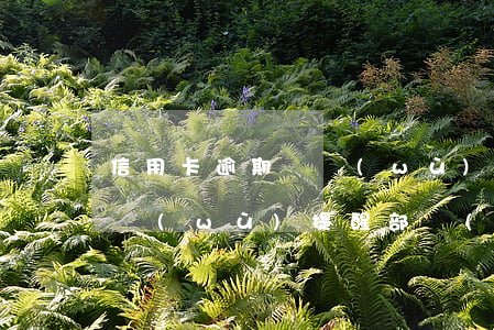 信用卡逾期賬務(wù)提醒(信用卡逾期賬務(wù)提醒部門(mén))