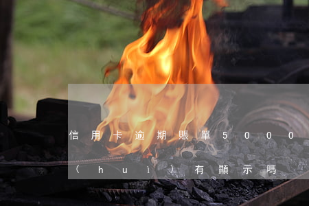 信用卡逾期賬單5000(信用卡逾期賬單會(huì)有顯示嗎)