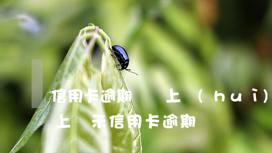 信用卡逾期賬單上會(huì)顯示嗎(征信上顯示信用卡逾期)