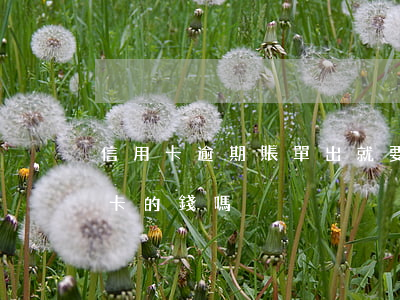 信用卡逾期賬單出就要扣錢嗎(逾期會扣銀行卡的錢嗎)