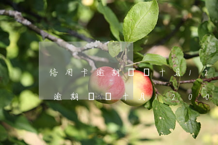 信用卡逾期賬單十月1200多元-信用卡逾期賬單十月1200多元怎么辦
