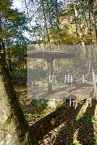 信用卡逾期 賬單日(信用卡逾期賬單日疊加會(huì)怎么樣)