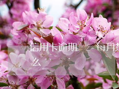 信用卡逾期賬單每月增加(信用卡賬單逾期怎么辦)