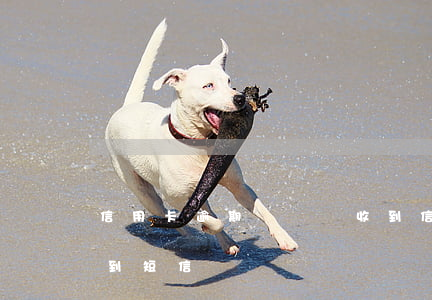 信用卡逾期賬單沒收到 信用卡逾期賬單沒收到短信