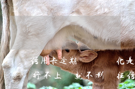 信用卡逾期賬單沒變化(是不是信用卡逾期銀行不上報就不影響征信)