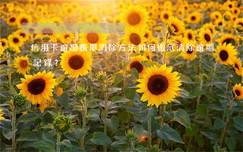 信用卡逾期賬單消除方法：如何徹底清除逾期記錄？