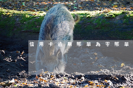 信用卡逾期賬單為零(賬單日逾期)