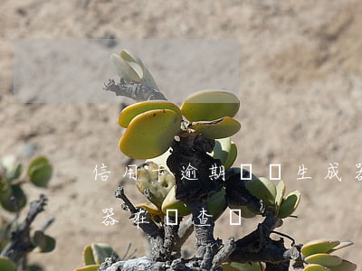 信用卡逾期賬單生成器(信用卡逾期賬單生成器在線查詢)