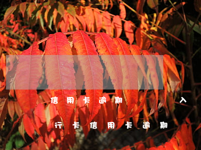 信用卡逾期賬單進入執(zhí)行階段(銀行卡信用卡逾期)