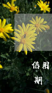 信用卡逾期賬單金額和還款不一致(信用卡逾期賬單金額和還款不一致怎么辦)
