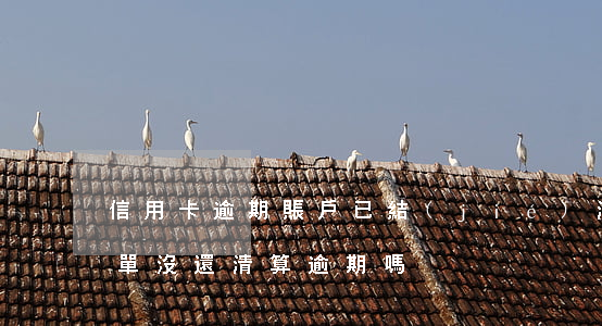 信用卡逾期賬戶已結(jié)清(信用卡賬單沒還清算逾期嗎)