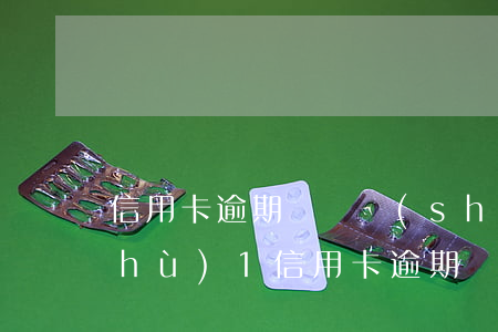 信用卡逾期賬戶數(shù)3,月份數(shù)1（信用卡逾期賬戶數(shù)3）