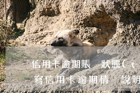 信用卡逾期賬戶狀態(tài)寫正常(怎么寫信用卡逾期情況說明)