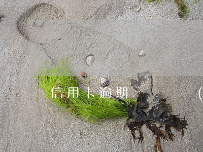 信用卡逾期賬戶狀態(tài)異常