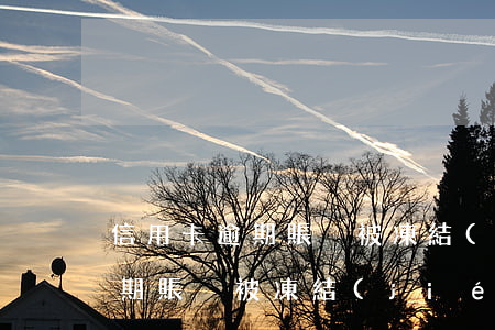 信用卡逾期賬戶被凍結(jié)(信用卡逾期賬戶被凍結(jié)不還有什么后果)