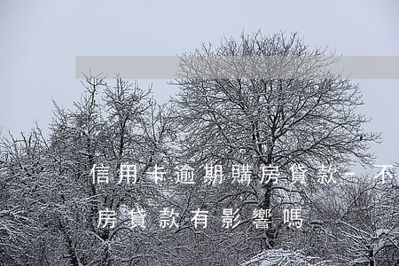 信用卡逾期購房貸款-不小心信用卡逾期,購房貸款有影響嗎