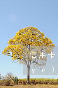 信用卡逾期贏領(lǐng)君道更專業(yè)優(yōu)選