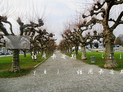 信用卡逾期贏領(lǐng)君道更專業(yè)選(信用卡逾期贏領(lǐng)君道更專業(yè)選)