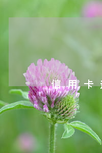 信用卡逾期败诉会费谁出(信用卡逾期)