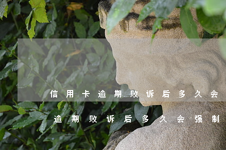 信用卡逾期败诉后多久会强制执行-信用卡逾期败诉后多久会强制执行呢
