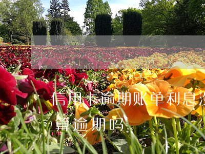 信用卡逾期账单利息没变(信用卡账单没还完算逾期吗)