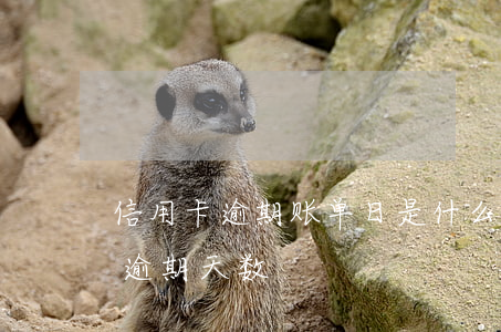 信用卡逾期账单日是什么意思(各银行信用卡逾期天数)