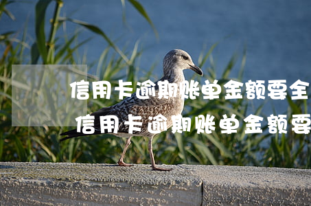 信用卡逾期账单金额要全部还完吗怎么还款（信用卡逾期账单金额要全部还完吗）