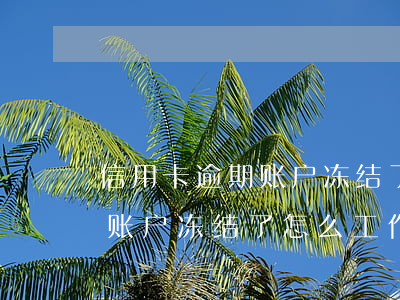 信用卡逾期账户冻结了怎么工作(信用卡逾期账户冻结了怎么工作还款)