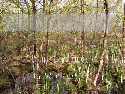 信用卡逾期账户已经销户(逾期后注销信用卡后果严重)