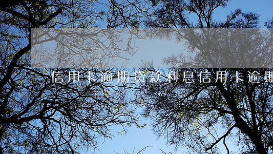 信用卡逾期贷款利息 信用卡 逾期利息