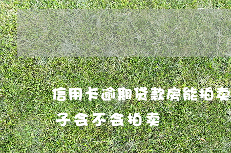 信用卡逾期贷款房能拍卖么(银行贷款逾期房子会不会拍卖)