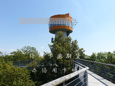 信用卡逾期贷款车可以过户吗(车贷逾期过能办信用卡吗)