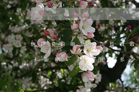 信用卡逾期费一次性收取吗(一万块钱的信用卡逾期一天费用是多少?)