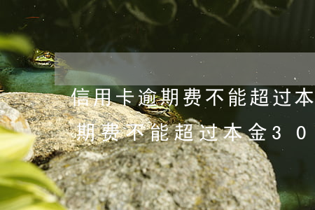 信用卡逾期费不能超过本金30-信用卡逾期费不能超过本金300元