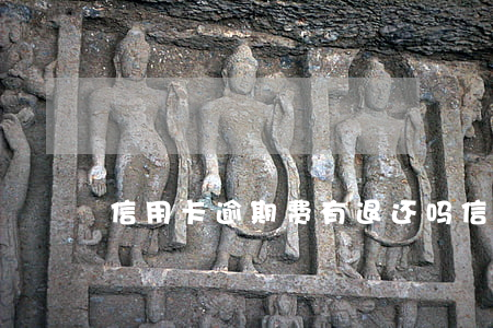 信用卡逾期费有退还吗(信用卡 逾期 费用)