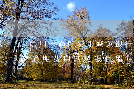 信用卡逾期费用减免银行能拒绝吗-信用卡逾期费用减免银行能拒绝吗知乎