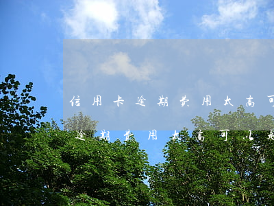 信用卡逾期费用太高可以起诉银行吗(信用卡逾期费用太高可以起诉银行吗)