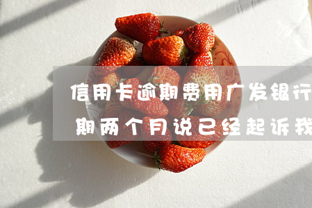 信用卡逾期费用广发银行(广发银行信用卡逾期两个月说已经起诉我了)
