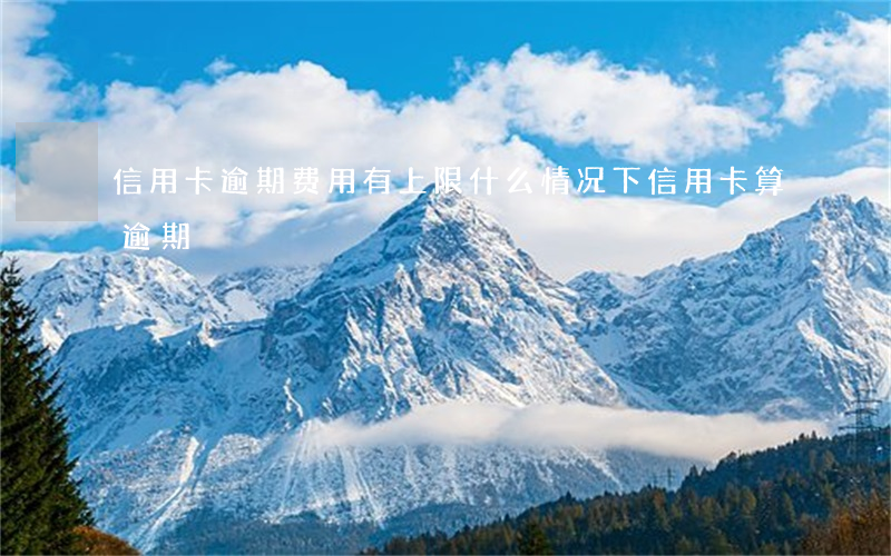 信用卡逾期费用有上限(什么情况下信用卡算逾期)
