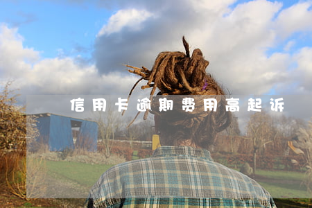 信用卡逾期费用高起诉