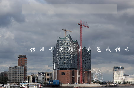 信用卡逾期资产包(诚信卡包逾期)