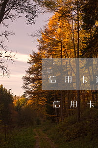 信用卡逾期资产重组申请书(怎么向银行申请信用卡债务重组)