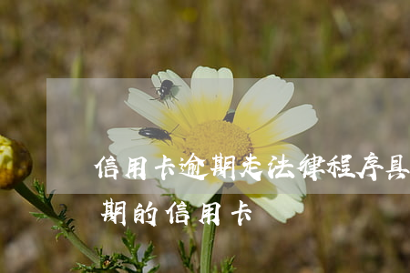 信用卡逾期走法律程序具體步驟(如何處理逾期的信用卡)