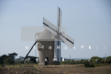 信用卡逾期走法律責(zé)任(逾期還信用卡需要承擔(dān)什么法律責(zé)任)