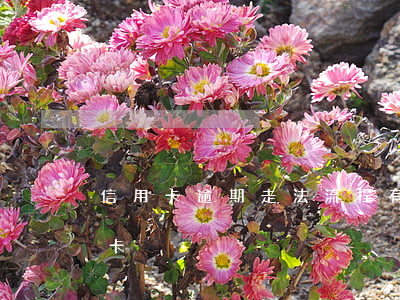 信用卡逾期走法流程 有過逾期怎么申請信用卡