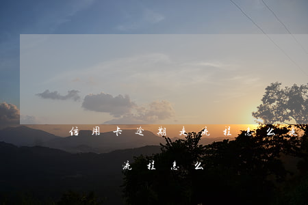 信用卡逾期走流程怎么走(信用卡逾期銀行走訴訟流程怎么辦)